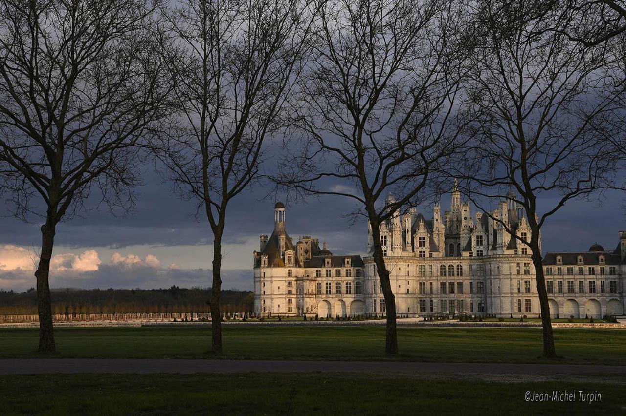 Gite Le Diapason Muides-sur-Loire Luaran gambar