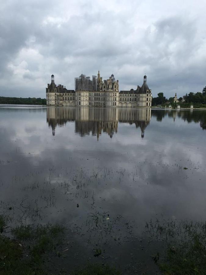 Gite Le Diapason Muides-sur-Loire Luaran gambar